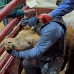 Tye Jordan - @wyocub - Instagram