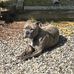 Tye Stewart - Facebook