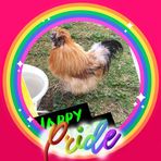Tye Robert Ward - Facebook