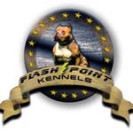 Tye Ward - @flashpoint_kennels - Instagram