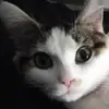Tyesha Smith - @tyesha.smith05 - TikTok