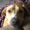 Tylana - @tylanalane - TikTok
