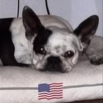 Tyler Albers - @tyler958800 - Instagram