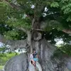 tyleralbers702 - @tyleralbers702 - TikTok
