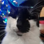 Tyler Alderson - @tyler.alderson.165 - Instagram