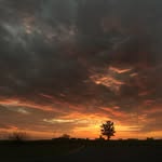 Ty - @tyler.anson42 - Instagram