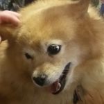 tyler arehart - @tyler.a1168 - Instagram