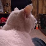 Tyler Arndt - @arndt.tyler - Instagram