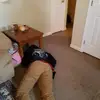 Tyler Ashby928 - @trece13036 - TikTok