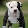 Tyler Ashby - @tyler.ashby2 - TikTok