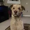 Tyler Ashby - @tylerashby_1 - TikTok