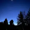 Tyler - @tyler.ashby - TikTok