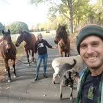 Tyler Ashcroft - @tropicanaoc - Instagram