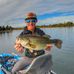 Tyler Ashcroft - Facebook