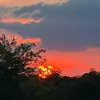 ambertylerashford - @ambertylerashford - TikTok