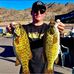 Tyler Ashford - Facebook
