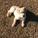 Tyler Autrey - @tautrey774 - Instagram