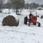 Tyler Barger - @tyler.barger.589 - Instagram