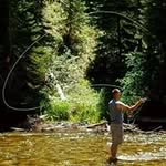 Tyler Barrow - @tyler.barrow.56 - Instagram