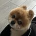 Tyler Barrus - Facebook