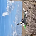 Tyler Bash - @bash_tyler - Instagram