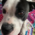 Tyler batson - @tylerabatson12 - Instagram