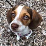 Tyler Beal - @penny.lane44 - Instagram