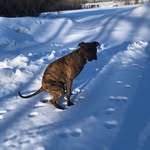 Tyler Beaudry - @tylerbeaudry4 - Instagram
