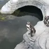Tyler Behrendt - @tyler.behrendt - TikTok