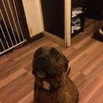 Tyler Belcher - @belcher2363 - Instagram
