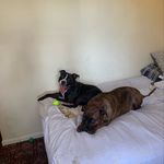 Tyler Belcher - @tylerbelcher030502 - Instagram