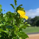 Tyler Benbow - @benbowphotography16 - Instagram