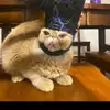 Tyler Benbow - @tyler.benbow - TikTok