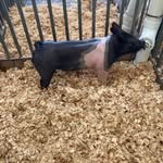Tyler Ramey - @tyler____benny - Instagram