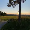 tylerbenoit45 - @tylerbenoit45 - TikTok