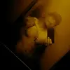 Tyler Benton - @tybenton7 - TikTok
