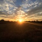 Tyler Blakemore - @tyler_blakemore45 - Instagram