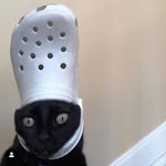 Tyler Blevins - @snacccccccccccccccccccccc - Instagram