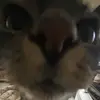 tyl.erblevins0 - @tyl.erblevins0 - TikTok