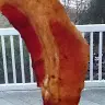 Tyler Bohn - @rigbybohn - TikTok