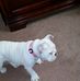 Tyler Bovee - Facebook