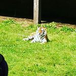 Tyler Bowles - @tbowles2004 - Instagram
