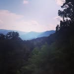 @tyler_bowyer_unpluged - Instagram