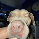 Tyler Boyett - @tboyett76 - Instagram