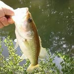 Tyler Boyette - @florida.bassin - Instagram