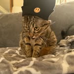 Tyler Boyles - @boyles2324 - Instagram