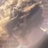 Tyler brack - @tybrack - TikTok