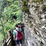 Tyler Brackman - @tylerbrackman - Instagram