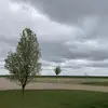 tylerbramblett - @tylerbramblett - TikTok