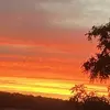 tylerbrian1 - @tylerbrian1 - TikTok